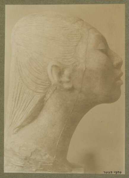 unknown, Photograph