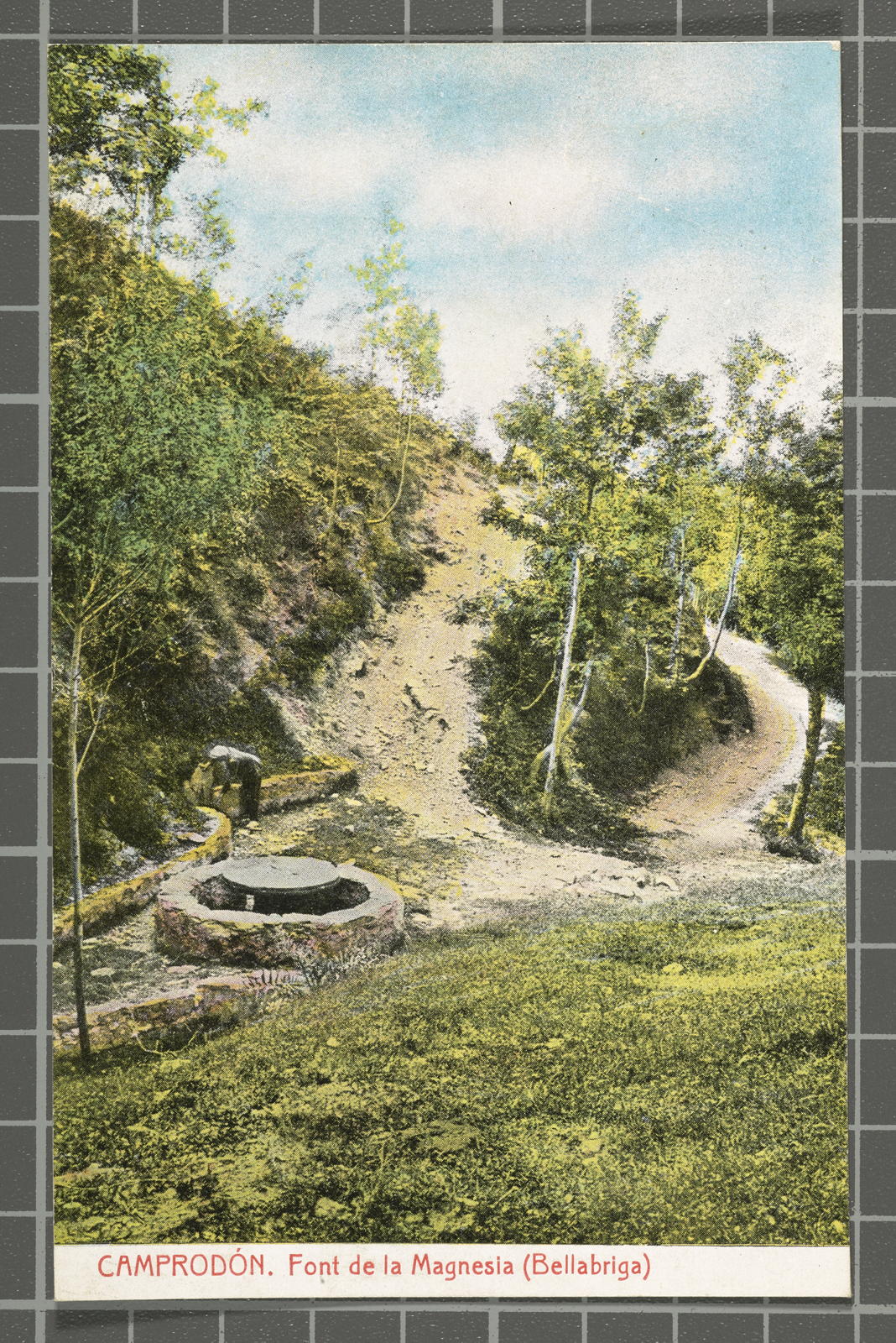 Desconegut, Camprodón. Source of Magnesia (Bellabriga)