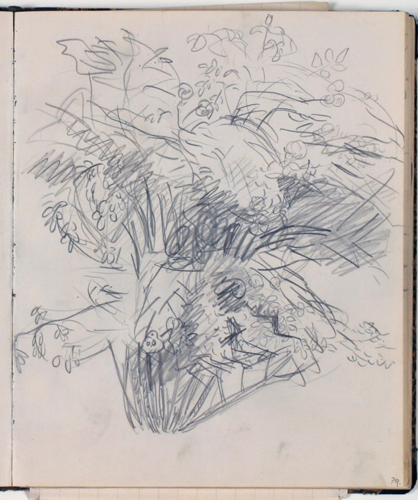 Niels Larsen Stevns, Plantestudie