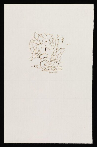 Potter, Beatrix, drawing