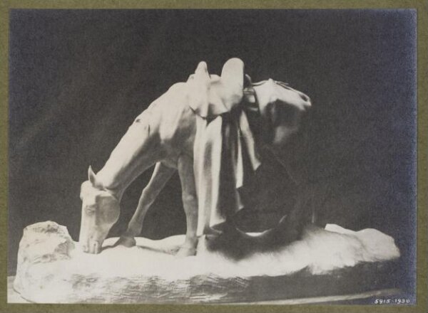 unknown, Photograph