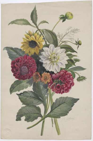 Kikkert, Jan Elias, (1843-1925), (artist), Bouquet of flowers with dahlias and asters
