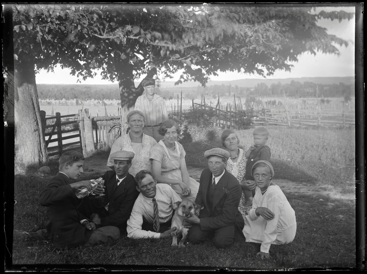 Bertil Malm, Picknick i det gröna