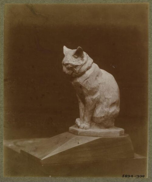 unknown, Photograph
