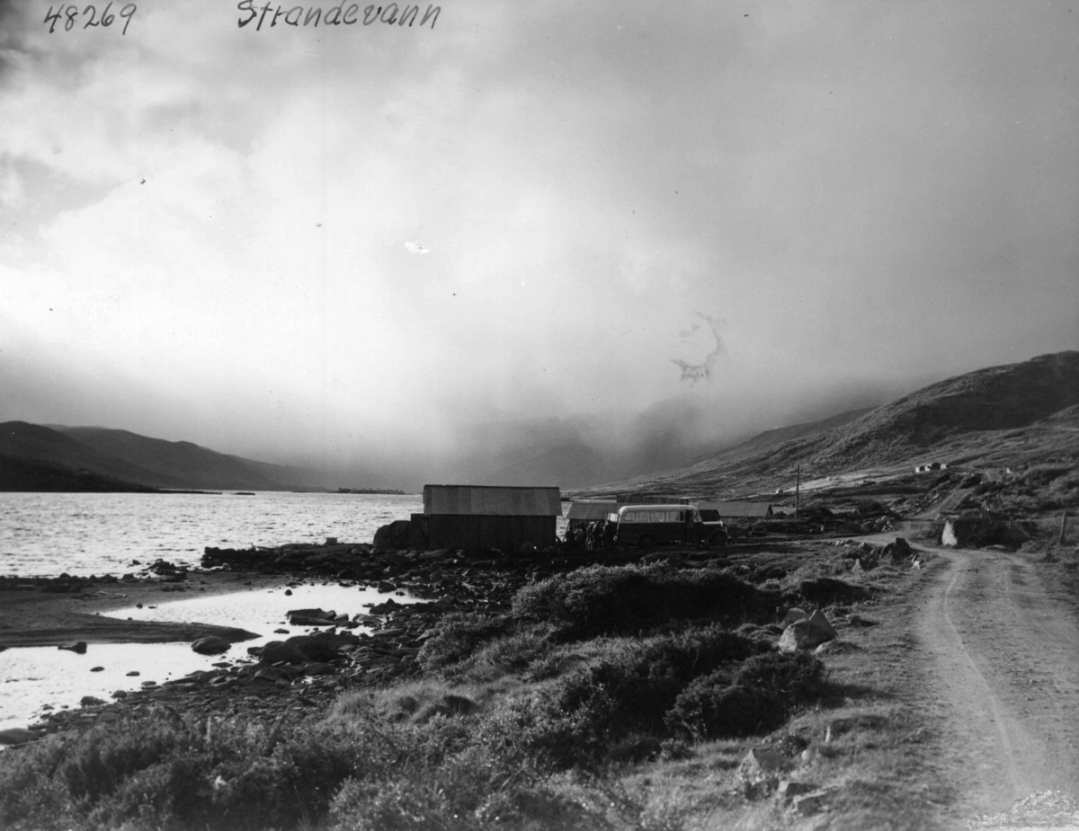 Anders Beer Wilse, Strandavatnet, Samferdsel, Buss