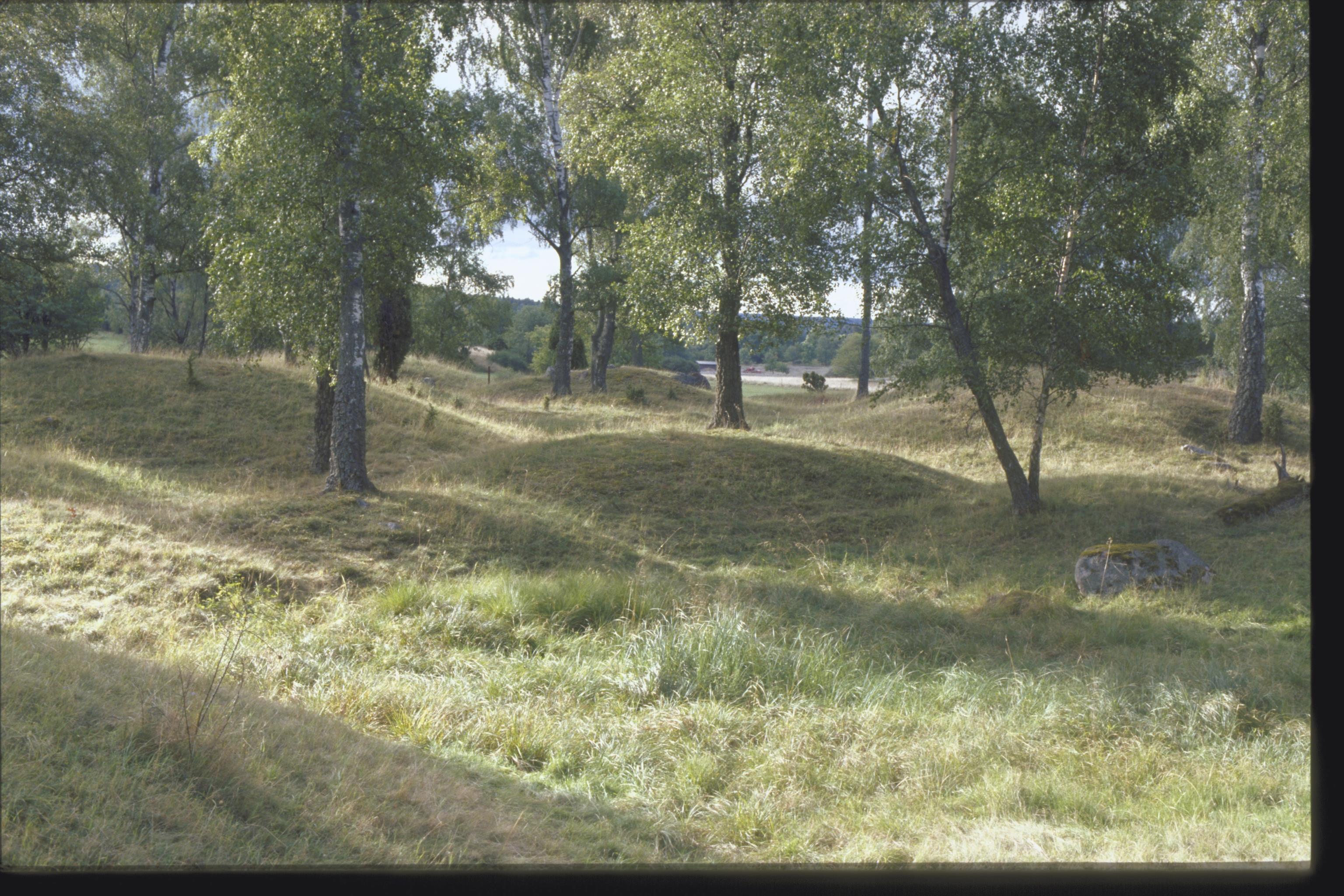 Bengt A Lundberg, Björkö-Birka
