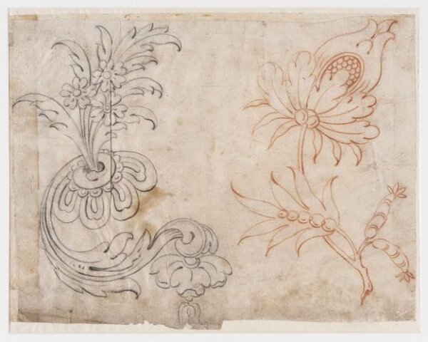 unknown, Drawing