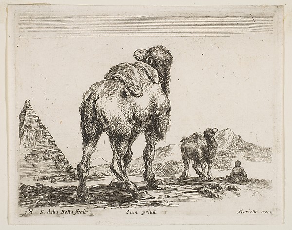 Stefano della Bella, Camel viewed from behind with pyramid at left, plate 18 from "Various Animals" (Diversi Animali)