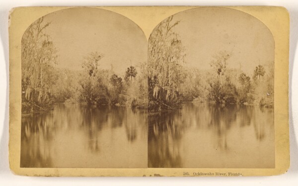 Benjamin West Kilburn, Ocklawaha River, Florida.