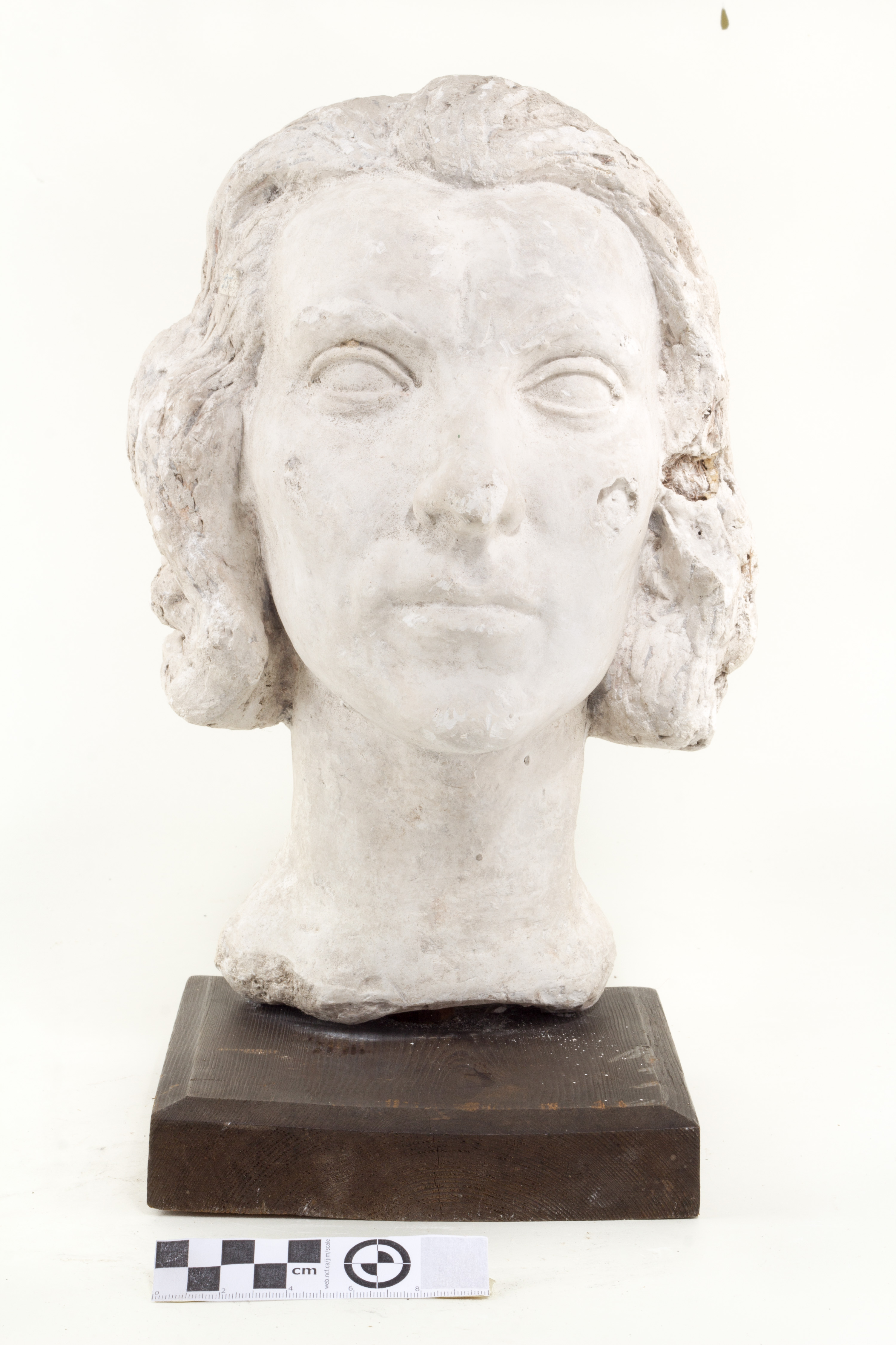 Anton (autor) Starkopf, Portrait of Linda Friend