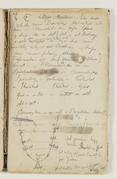 J.A. Jerichau (II), Notater om Newton[?], Darwin og moral. Desuden definition på den "Menneskelige Kemi" samt et diagram over samme, hvor der modstilles begreber som menneske - eet, spænding - alt, forhold - intet, skønhed - gud