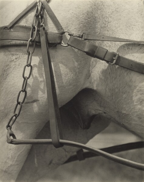 Alfred Stieglitz, Spiritual America