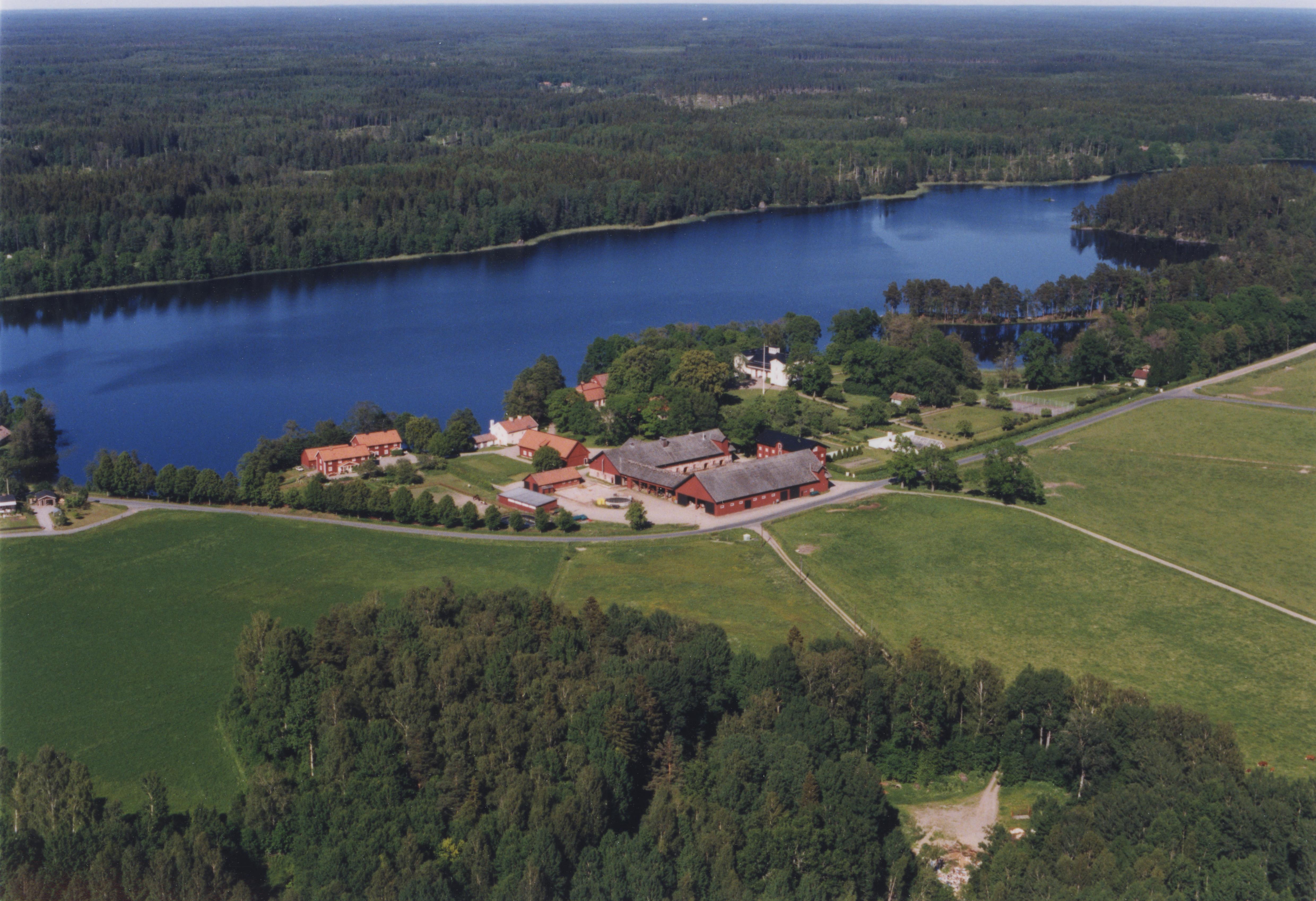 Jan Norrman, Floda 16:1
