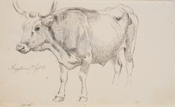 Johan Thomas Lundbye, Stående tyr