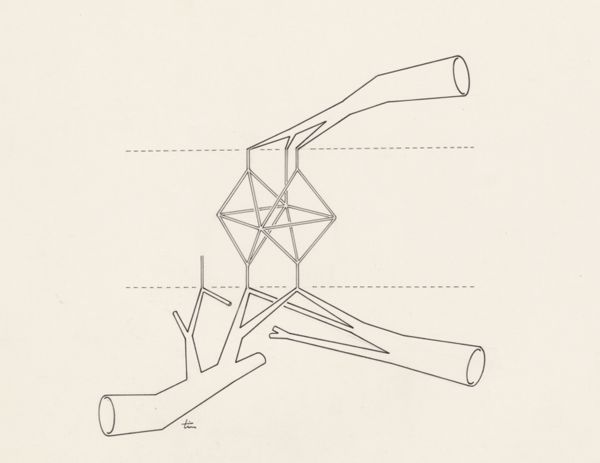 J Tinkelenberg, Vascular branches