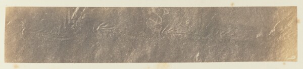 Unknown, Plate 44. [Figure] C