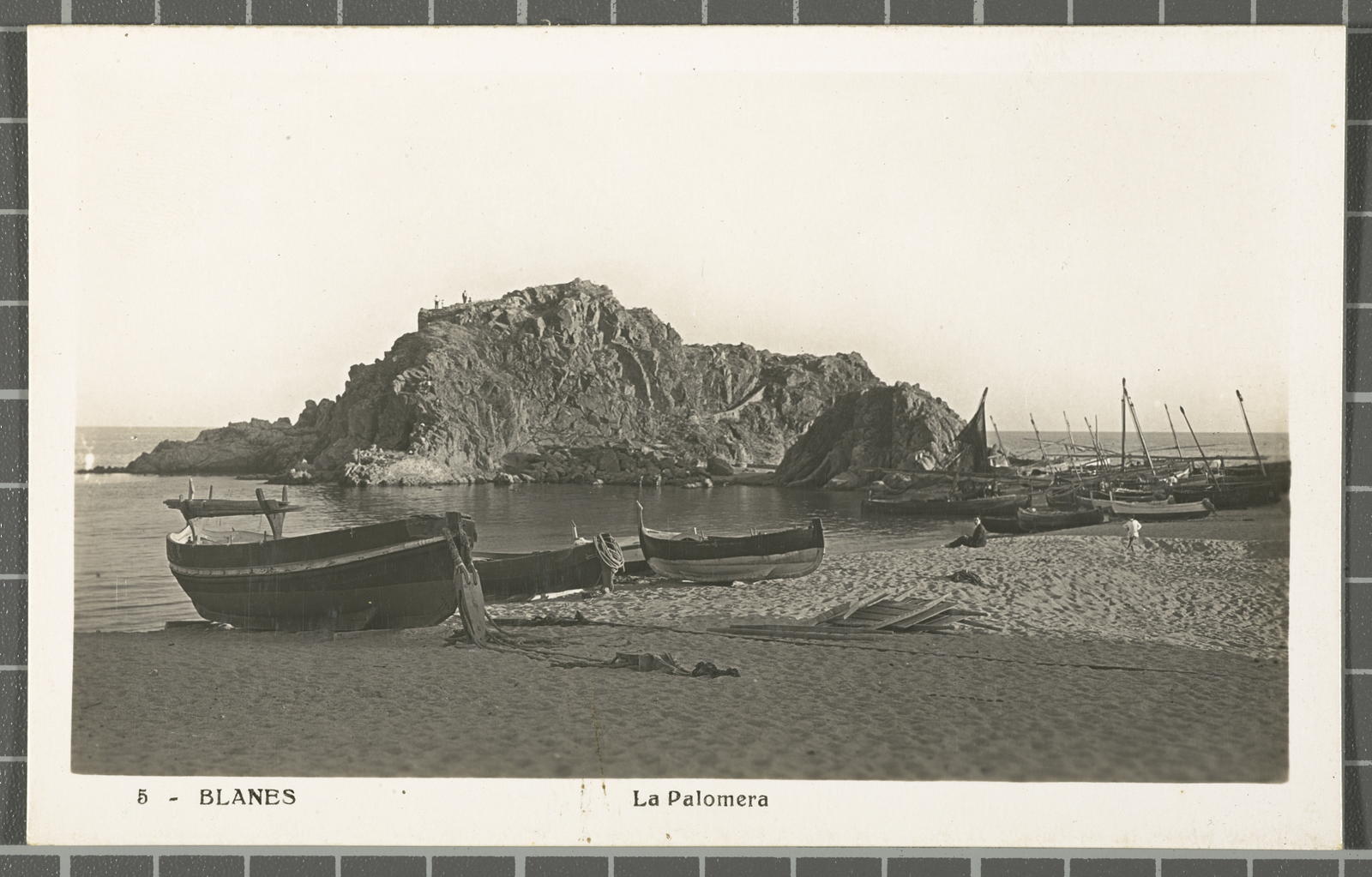 Desconegut, 5 - Blanes. Palomera Lsa