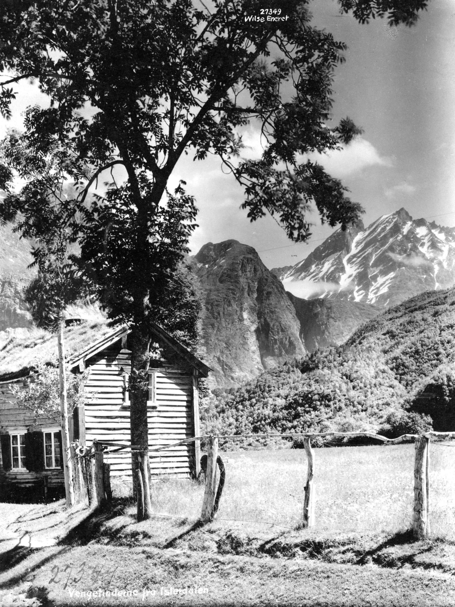 Anders Beer Wilse, Topografi