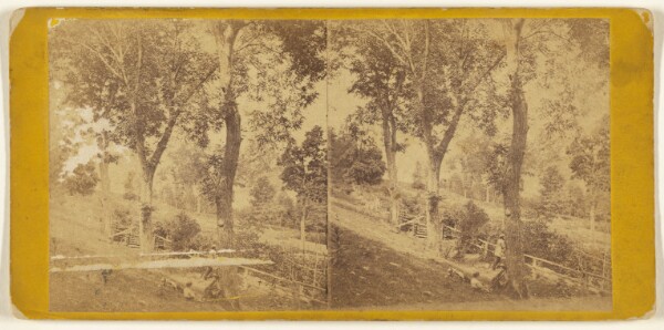 Edward and Henry T. Anthony & Co., A View from West Point looking towards Constitution Island.