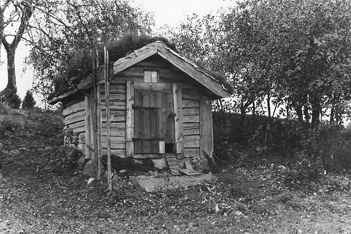 Eric von Rosen, Svinhus. Trösslingstorp.