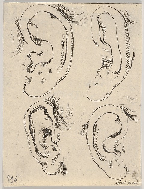 Stefano della Bella, Plate 5: Four ears, from "The Book for Learning to Draw" (Livre pour apprendre à dessiner)