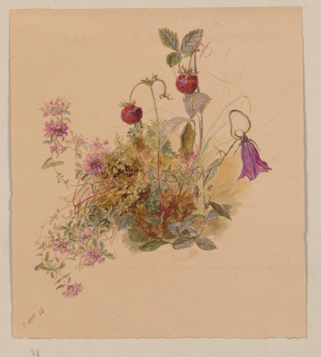 MarieLippert-Hoerner, Erdbeeren und Glockenblume