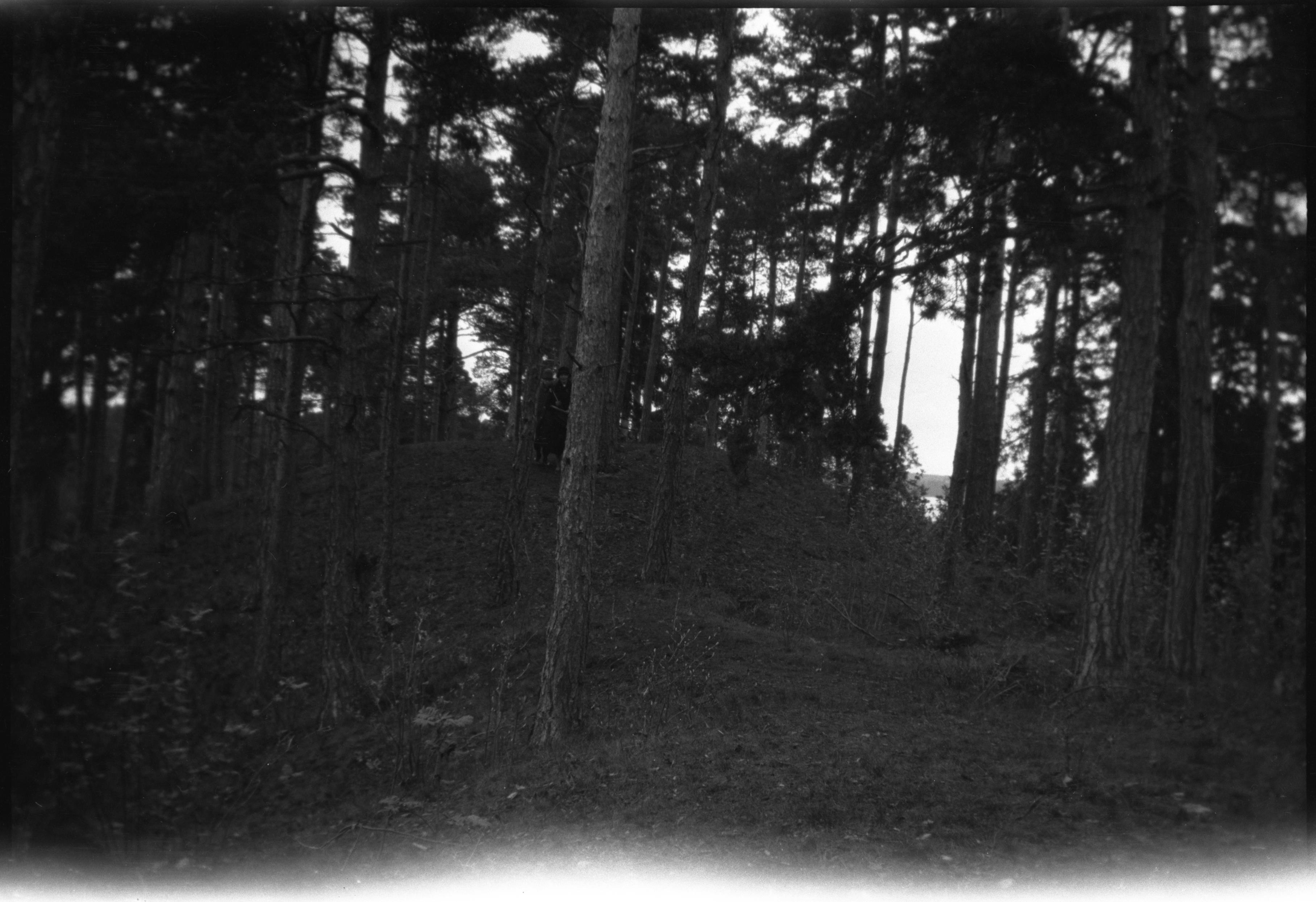 Berit Wallenberg, Husby