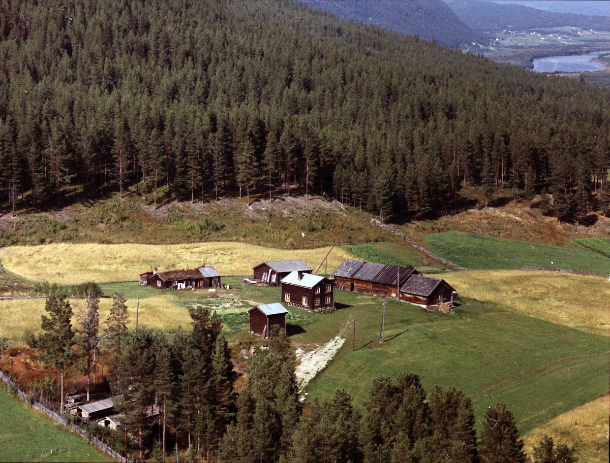 Widerøes Flyveselskap A/S, Gårdsbruk.