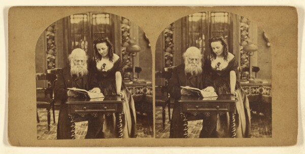 London Stereoscopic and Photographic Company, Search the Scriptures.