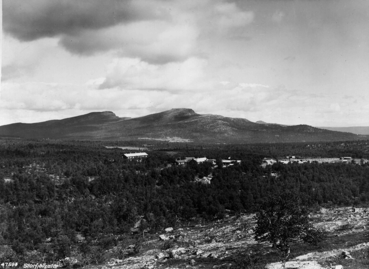 Anders Beer Wilse, Storfjellseter