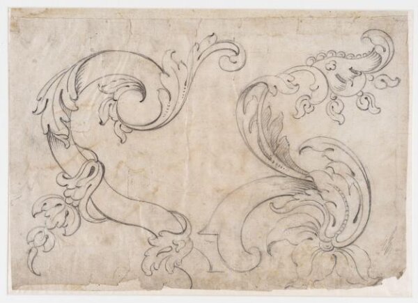 unknown, Drawing