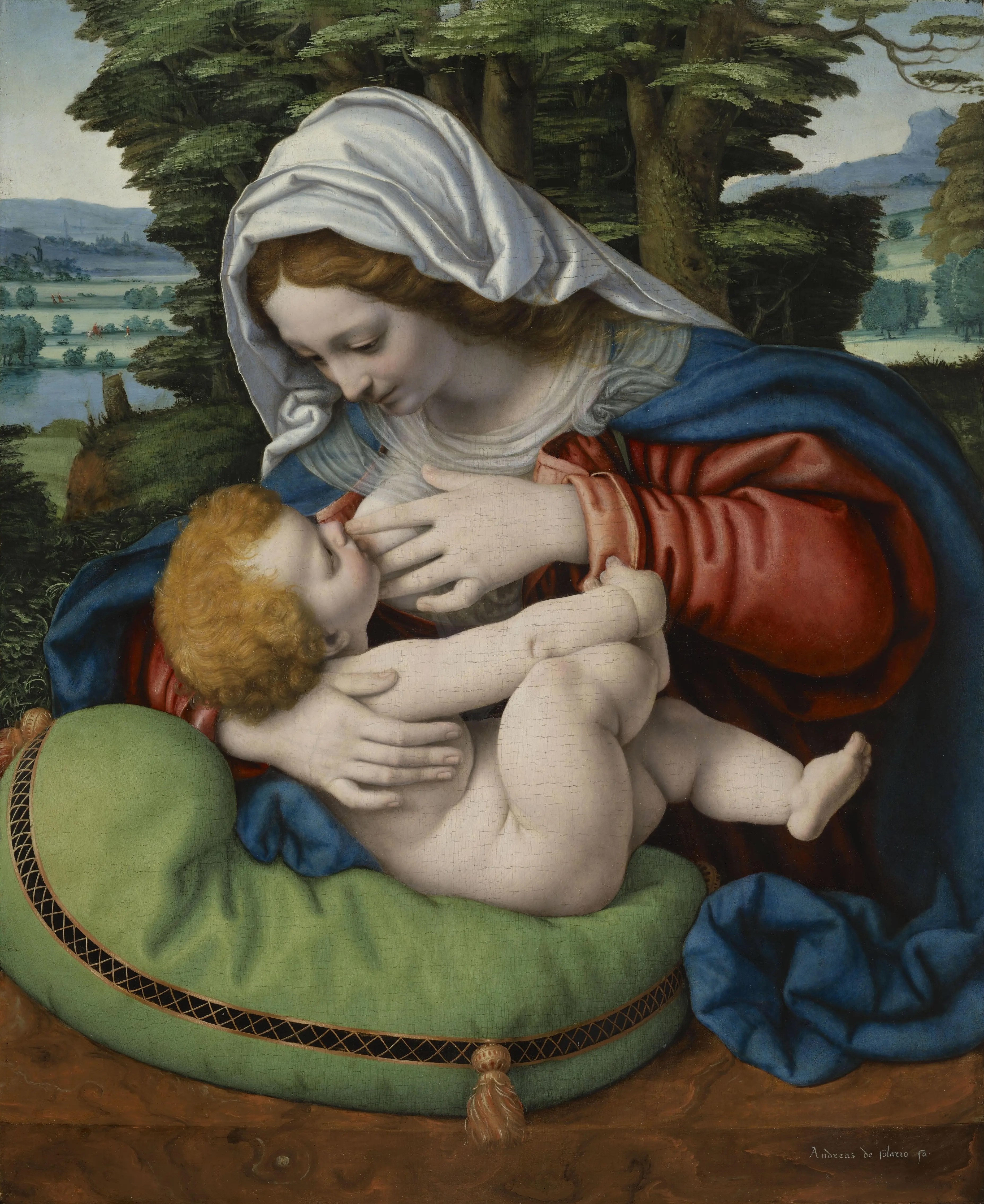Andrea Solari, Madonna of the Green Cushion