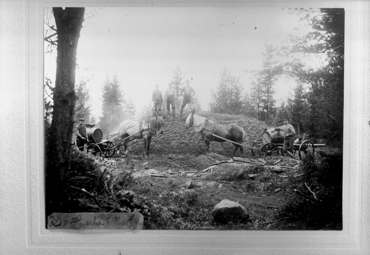 Gustaf Ferdinand Hallberg, Kolmila, horses and carriages.
