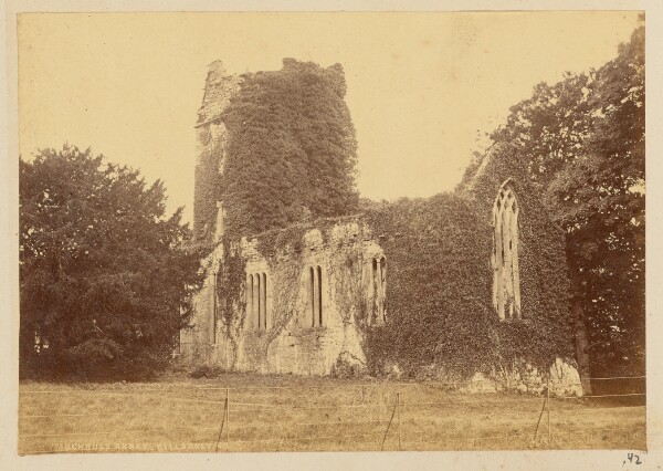 Unknown, Muckross Abbey, Killarney