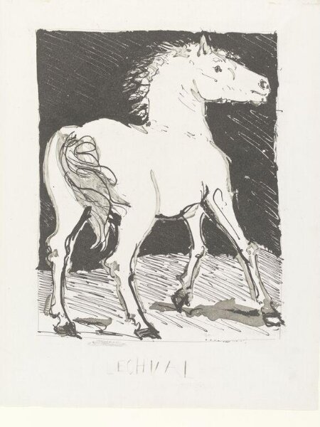 Pablo Picasso, Histoire Naturelle
