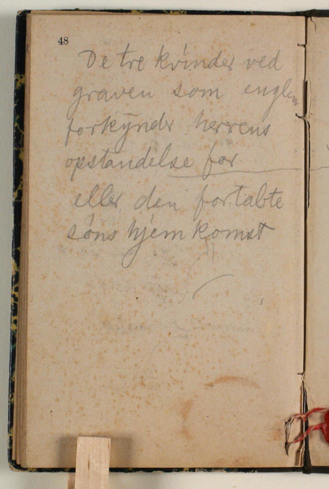 Niels Larsen Stevns, Notater