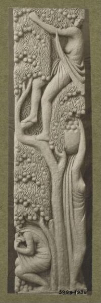 unknown, Photograph