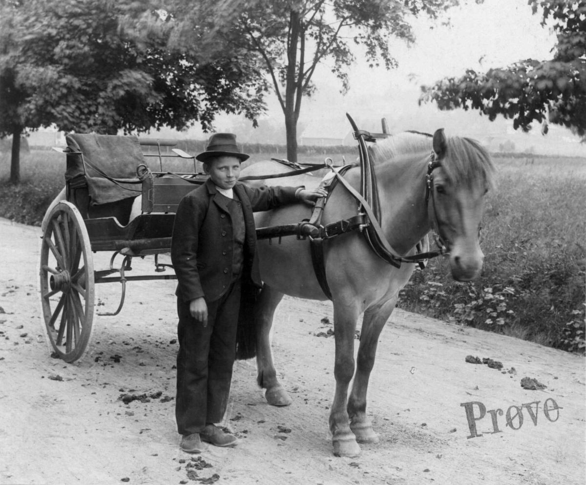 Anders Beer Wilse, Stolkjerre