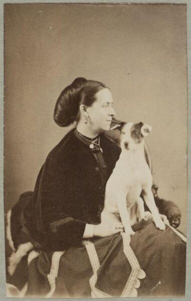 Unknown, Carte-de-visite photographs (480). Four photographs  are dry-mounted to each sheet (120).