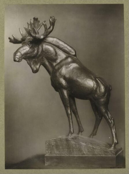 unknown, Photograph