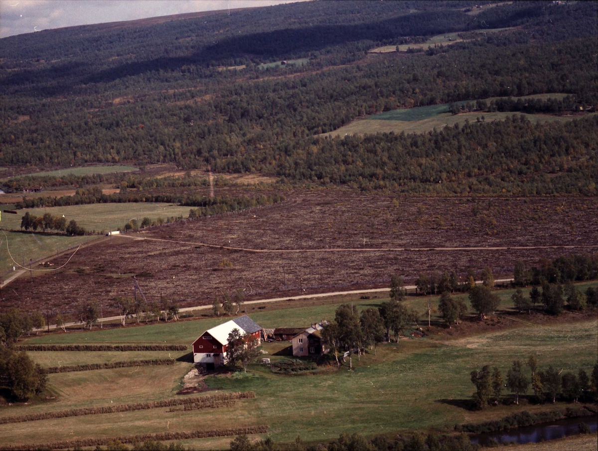 Widerøes Flyveselskap A/S, Gårdsbruk.