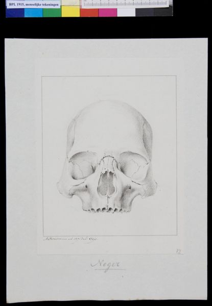 M Houtman, Skull of a black man