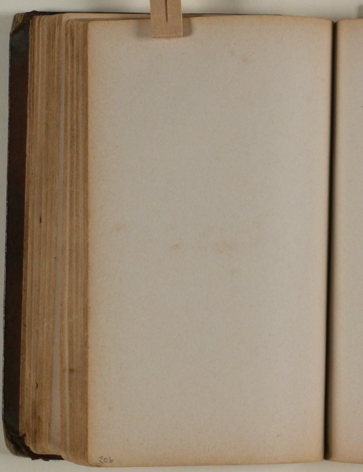 Niels Larsen Stevns, Blank