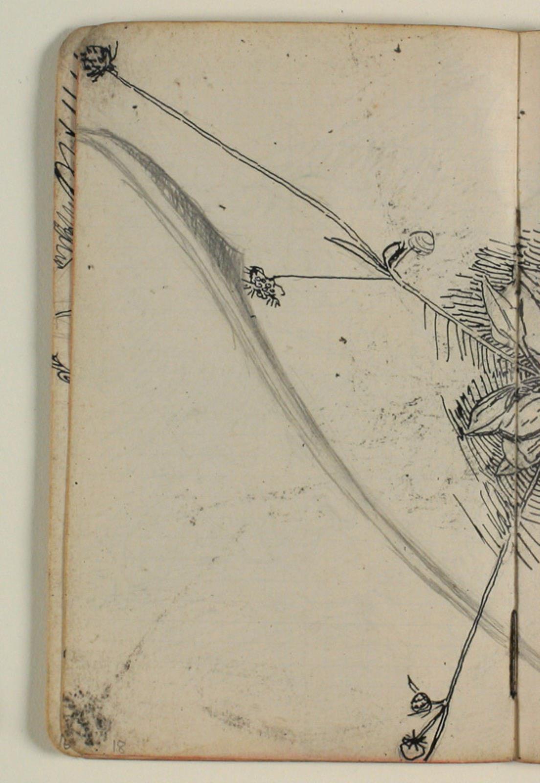 Niels Larsen Stevns, Plantestudie