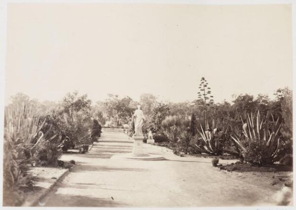 unknown, Photograph