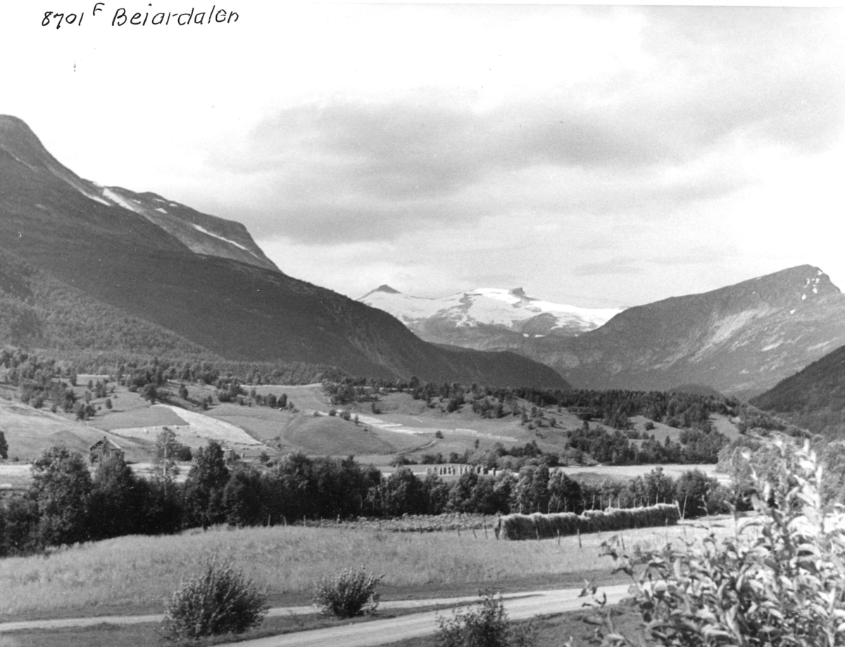 Anders Beer Wilse, Topografi