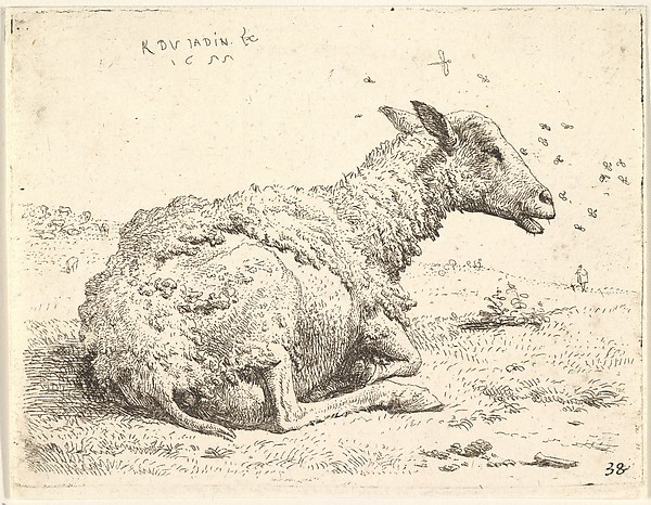 Karel Dujardin, Partially shorn sheep lying in the grass with insects hovering around its head