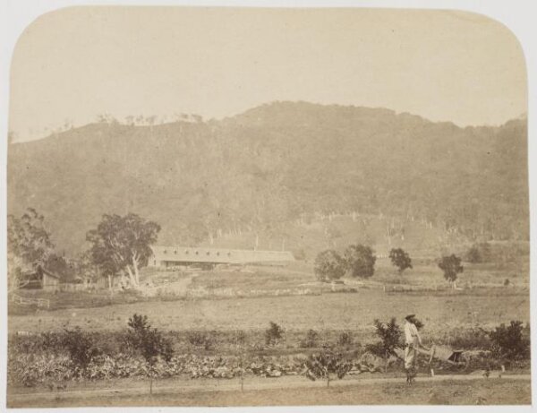 Kerr, Henry, Photograph