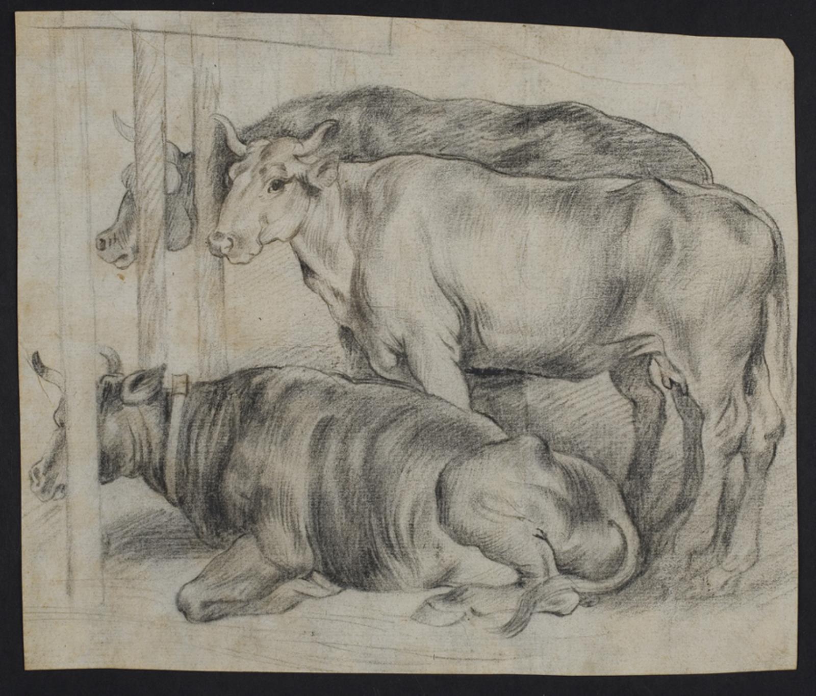 Peter Paul Rubens, Køer fra "Den fortabte søn"