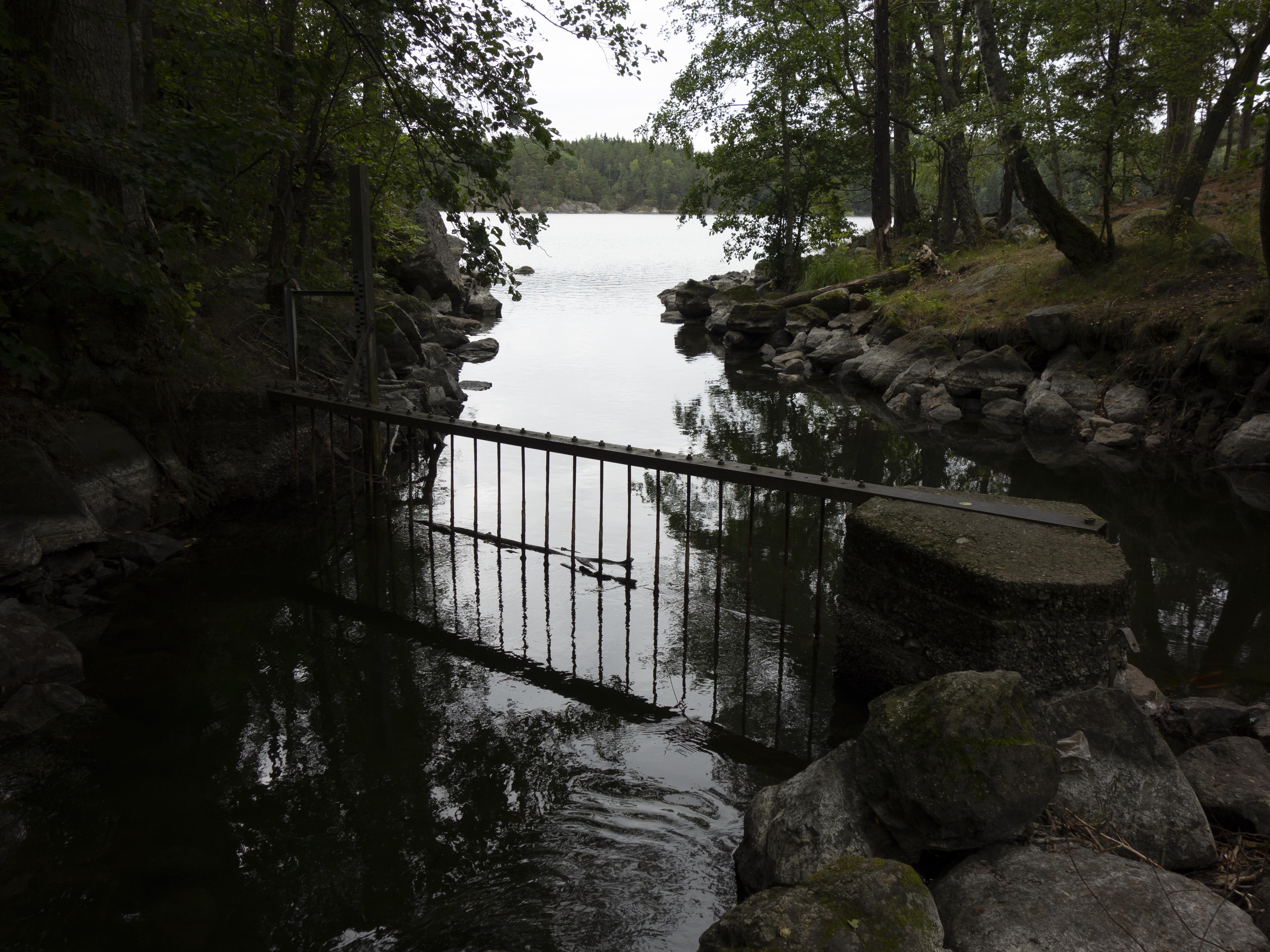 Leif Gren, Nyfors